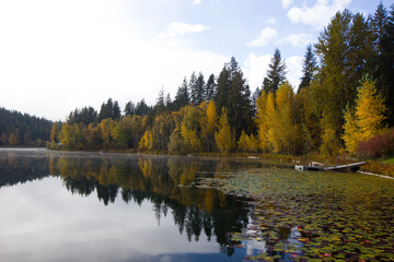 Fototapeta na wymiar Morning mood at a lake in Clearwater, British Columbia