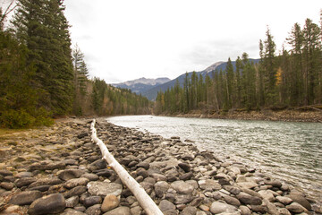 Fraser river in British Columbia in Canada - obrazy, fototapety, plakaty