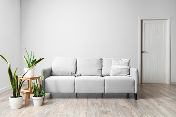 Grey sofa with plants in living room