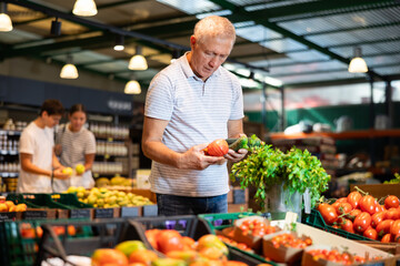Elderly man shopper choosing cucumbers and tomatoes in grocery store