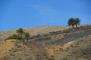  Valley of the thousand palm trees, canary islands, sony a6000, spain, trekking around Haria, Haria, volcanic landscape