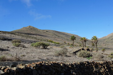 Valley of the thousand palm trees, Haria, November 2023, sony a6000, palm tree, volcanic island, canary islands, spain, trekking from Maguez to Haria, volcanic landscape