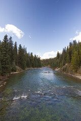 Maligne river on a beautiful sunny day in fall