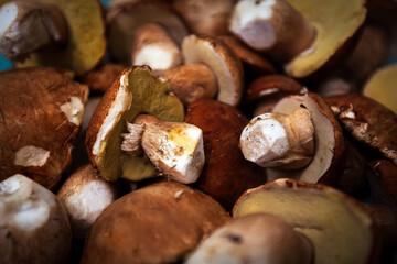 Freshly Picked Porcini Mushrooms on Table Full Frame Close Up