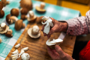 Senior Man Hand Showing Freshly Picked Porcini Mushrooms From Basket on Kitchen Table Full Frame Close Up
