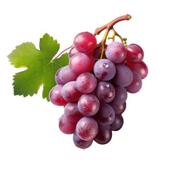 Fototapeta premium transparent backdrop with grapes