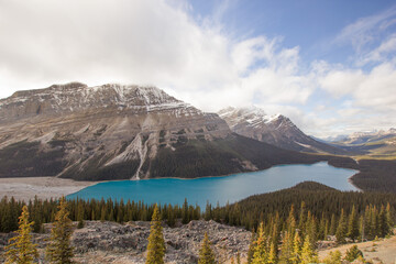 Peyto lake in Banff National Park in Canada