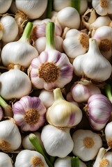 garlic on an isolated white background, superfood