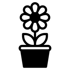 flower in pot