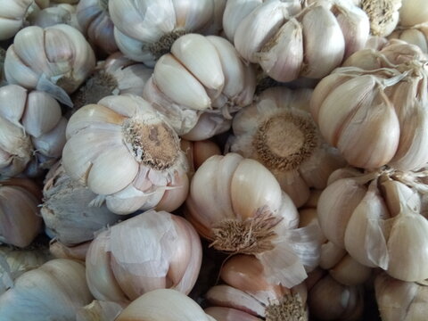 Fresh onions from local market. Group of raw white onions on display at local grocery store market.