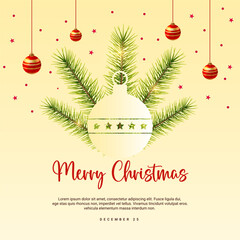 Fototapeta na wymiar Elegant Merry Christmas, Xmas & Happy New Year festive design with beautiful snowflakes and stars in modern style. Christmas & Xmas vector illustration