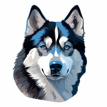 recommend clip art: Siberian Husky in cartoon, doodle style. Isolated 2d vector illustration in logo, icon, sketch style, Eps 10. AI Generative