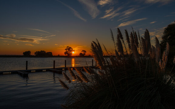 Pampass grass lit by sunrise along the river edge 