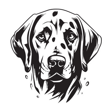 Dalmatian in cartoon, doodle style. Isolated 2d vector illustration in logo, icon, sketch style, Eps 10, black and white. AI Generative