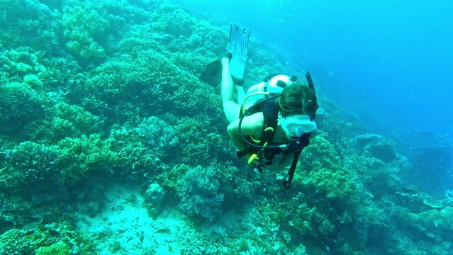 Adventure, woman scuba diving in coral and nature under water in Raja Ampat, biodiversity or tropical ocean holiday. Blue sea, underwater ecology and diver swimming on island vacation in Indonesia.