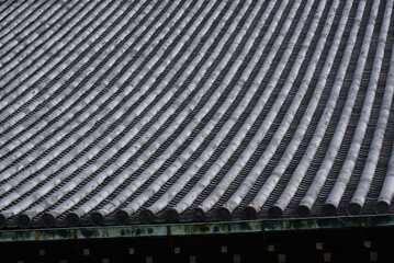 Big roof of Japanese palace