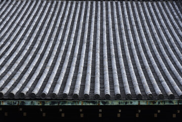 Big roof of Japanese palace