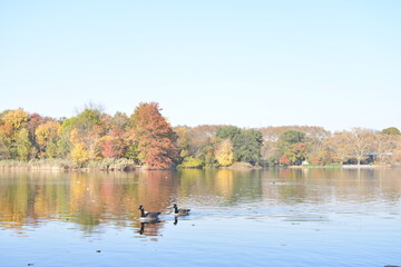 autumn landscape with lake and trees