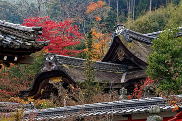 紅葉に囲まれた神社の社殿