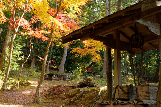 釣瓶井戸と紅葉