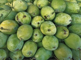 mangoes in the market