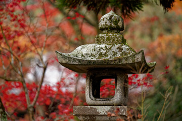 鮮やかな紅葉に包まれた神社の石灯籠