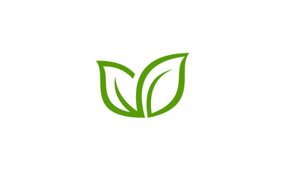 green leaf icon