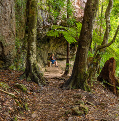 Obraz premium A woman hiker and tourist sitting on a bench, framed by trees on a hiking trail at Springbrook on the Gold Coast in Queensland, Australia.