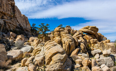Rock Formations on The Hidden Valley Trail, Joshua Tree National Park, California, USA