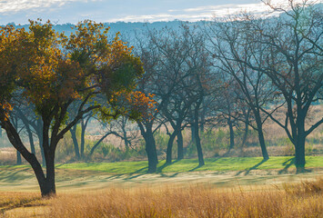 Fall Color in the Texas Hill Country, Fredericksburg, Texas, USA