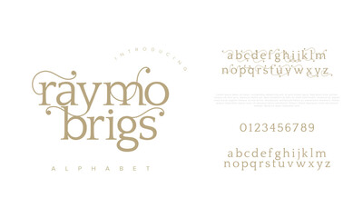 Raymobrigs premium luxury elegant alphabet letters and numbers. Elegant wedding typography classic serif font decorative vintage retro. Creative vector illustration