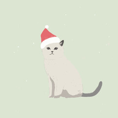 cat in christmas hat