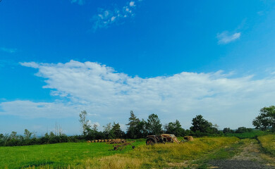 drive on the rural country road of Vermont state, USA