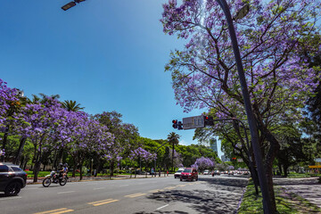 Autopista en Buenos Aires rodeada de árboles y con autos conduciendo por la ciudad