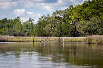 Kayaking in the Lowcountry USA