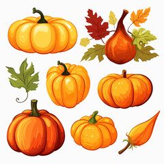 thanksgiving october halloween harvest seasonal graphic crop ripe november maple drawing foliage