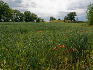Tagebau und Naherholungsgebiet Kretzschau bei Zeitz, Burgenlandkreis, Sachsen-Anhalt, Deutschland