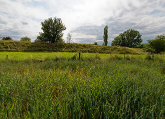 Tagebau und Naherholungsgebiet Kretzschau bei Zeitz, Burgenlandkreis, Sachsen-Anhalt, Deutschland