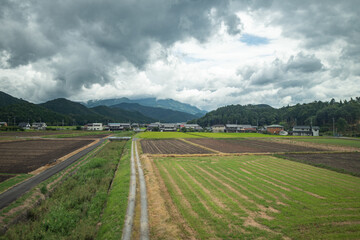 Fototapeta na wymiar Japanese farms growing green plants outside of Kyoto, Japan as seen from the Tokido Shinkansen line with mountains in the background