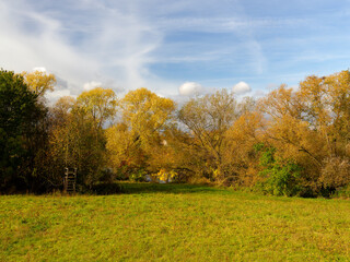 Am Main bei Grafenrheinfeld, Landkreis Schweinfurt, Unterfranken, Franken, Bayern, Deutschland