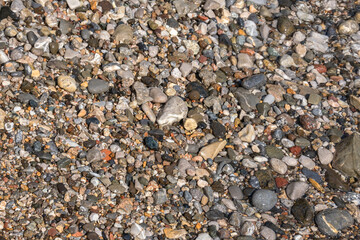 colorful pebbles  on the seashore