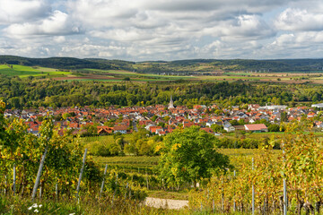 Fototapeta na wymiar Blick von den Weinbergen auf Thüngersheim am Main, Landkreis Main-Spessart, Unterfranken, Bayern, Deutschland