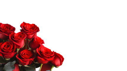 Frame bouquet of red roses isolated on white background, transparent cutout