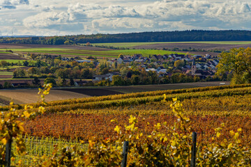  Landschaft und Weinberge bei Wipfeld, Landkreis Schweinfurt, Unterfranken, Franken, Bayern, Deutschland