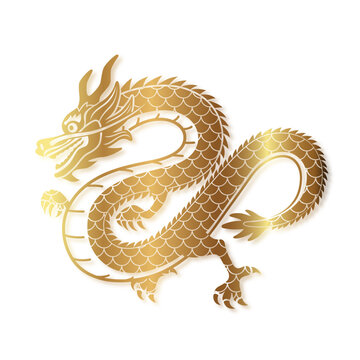 chinese new year dragon vector