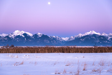 Moonlight Over Wintry Mountains