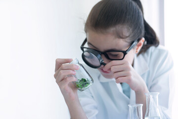 Cute student girl in a lab coat uses a magnifying glass to look at plants grown in glass bottle...