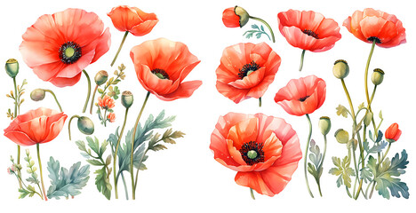  Red poppy watercolor illustration clipart. Generative AI - obrazy, fototapety, plakaty