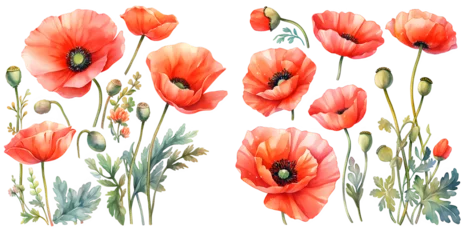 Foto op Plexiglas  Red poppy watercolor illustration clipart. Generative AI © Dian