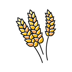 ears of wheat harvest color icon vector. ears of wheat harvest sign. isolated symbol illustration